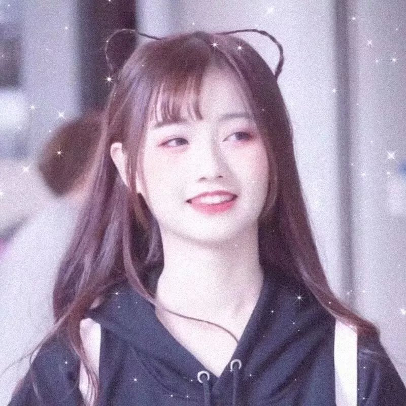 从前有只狗